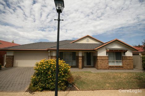 Property photo of 8 Ayers Court Morphettville SA 5043