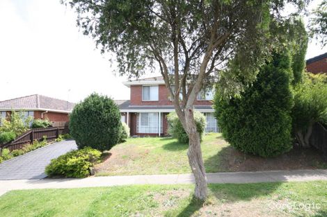 Property photo of 38 Tintinara Crescent Belmont VIC 3216