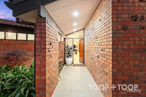 Property photo of 12A Glen Avenue Unley Park SA 5061
