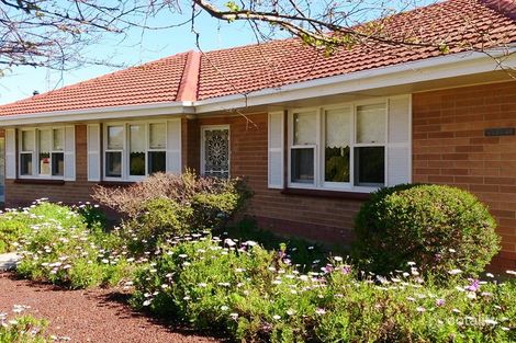 Property photo of 17 Lydia Terrace Wallaroo SA 5556