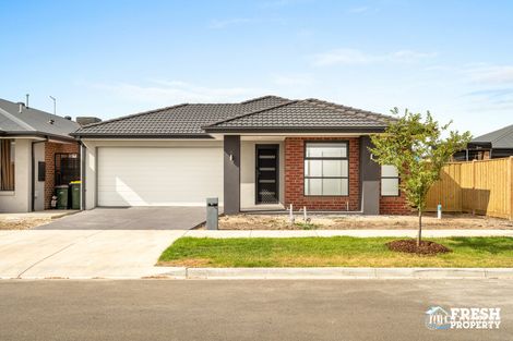 59 Fleurieu Cct, Armstrong Creek, VIC 3217