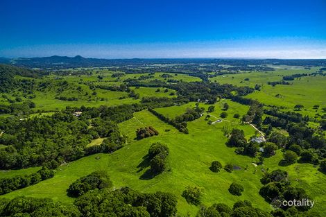 Property photo of 256 Dingo Lane Myocum NSW 2481