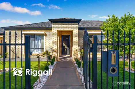 Property photo of 43 Palm Avenue Royal Park SA 5014