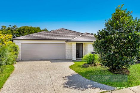 Property photo of 46 Corella Crescent Mullumbimby NSW 2482