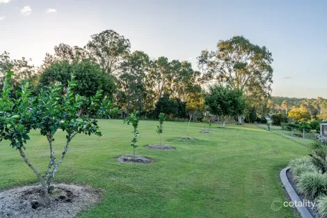 Property photo of 16 Ayrshire Court Pie Creek QLD 4570