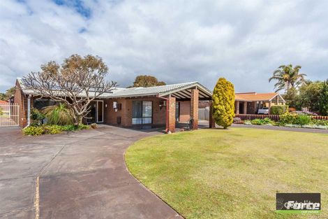 48 Grebe St, Stirling, WA 6021
