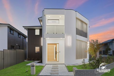 Property photo of 194 Diamondback Parade Melonba NSW 2765