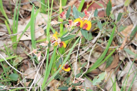 Property photo of 3580 Stoneville Road Stoneville WA 6081