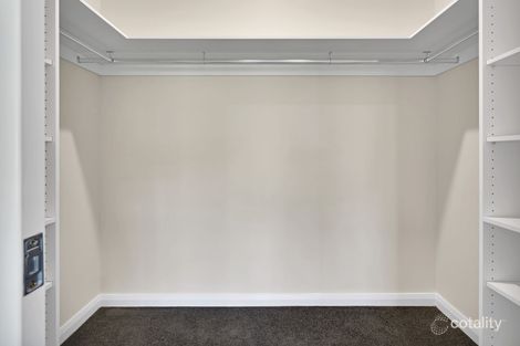 Property photo of 25 Tarragon Way Chisholm NSW 2322