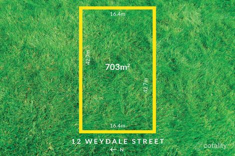 12 Weydale St, Doubleview, WA 6018