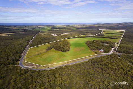 539 Memana Rd, Whitemark, TAS 7255