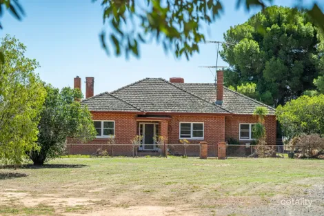 1127 Grubben Rd, Henty, NSW 2658
