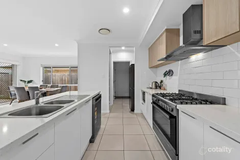 Property photo of 17 Tambor Crescent Pallara QLD 4110
