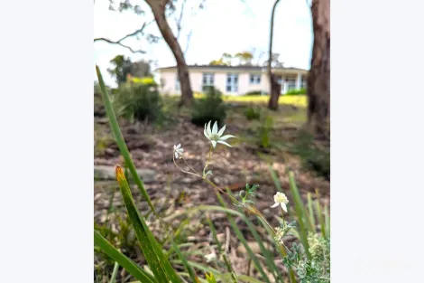 Property photo of 7 Duke Street Forestville NSW 2087