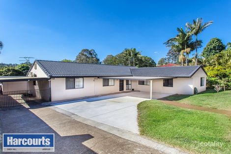 Property photo of 31 Lobelia Avenue Daisy Hill QLD 4127