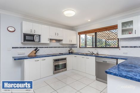 Property photo of 31 Lobelia Avenue Daisy Hill QLD 4127