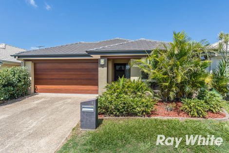 Property photo of 4 Wallis Circuit North Lakes QLD 4509