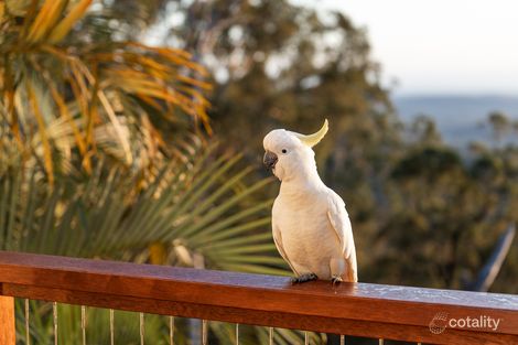 Property photo of 25 Brushbox Road Lower Beechmont QLD 4211