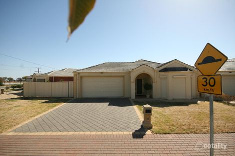 66 Rutland Ave, Lockleys, SA 5032