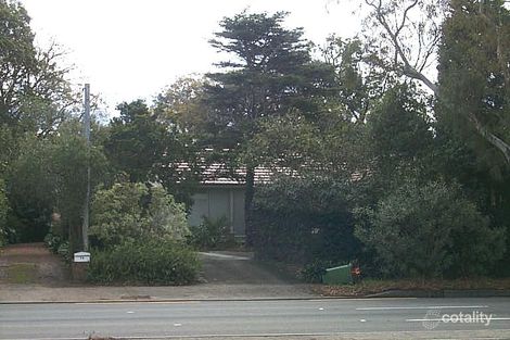 Property photo of 79A Boundary Street Roseville NSW 2069