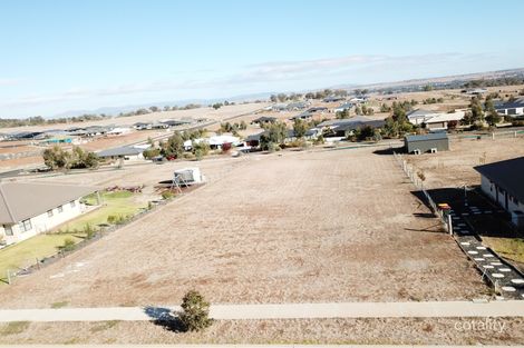 Property photo of 3 Bluebell Way Moore Creek NSW 2340