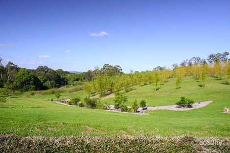 Property photo of 246 Duncan Road Numulgi NSW 2480