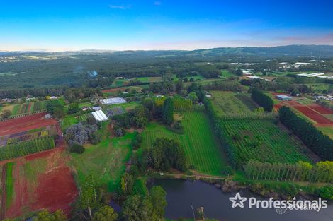 Property photo of 155 Macclesfield Road Monbulk VIC 3793