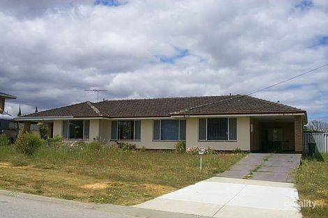 87 Winfield St, Hamilton Hill, WA 6163