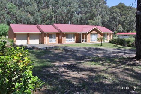 20 Golf Links Dr, Mirboo North, VIC 3871