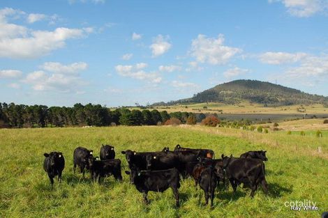 Property photo of 25 Hoggs Lane Braidwood NSW 2622