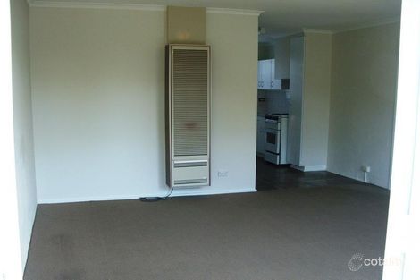 Property photo of 1/83 Camden Road Newtown VIC 3220