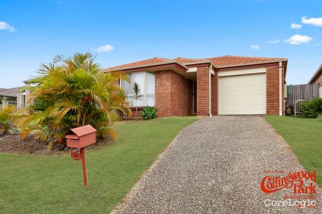 Property photo of 91 Collins Street Collingwood Park QLD 4301