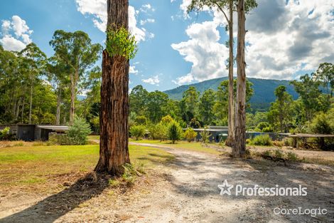 Property photo of 865 Woods Point Road East Warburton VIC 3799