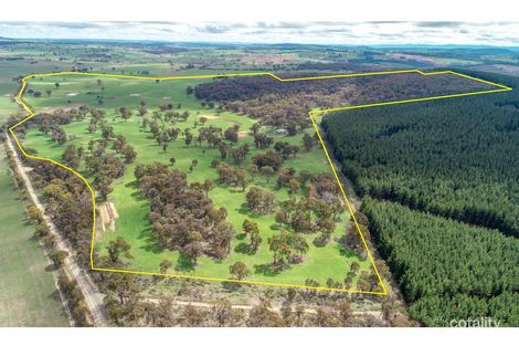 203 Schumachers Rd, Triangle Flat, NSW 2795