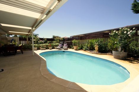 31 Roscommon Cres, Orelia, WA 6167