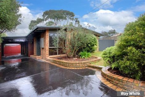 Property photo of 4 Warilda Court Mornington VIC 3931