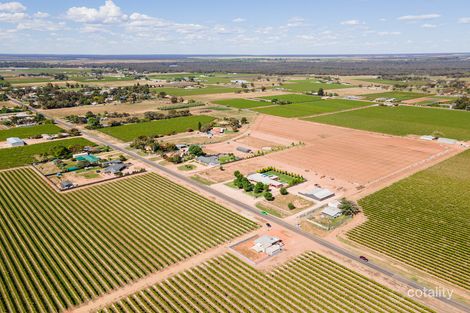 Property photo of 256 Koorlong Avenue Nichols Point VIC 3501