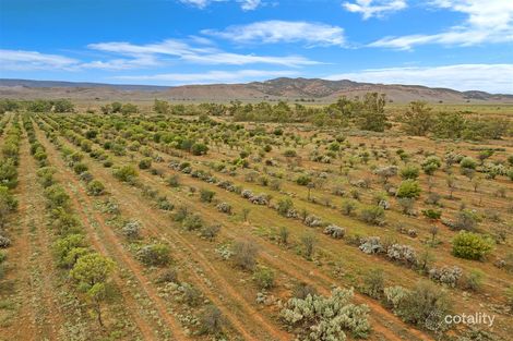 77 Nectar Brook Rd, Nectar Brook, SA 5495