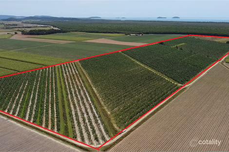 Contact Agent For Address, Kurrimine Beach, QLD 4871