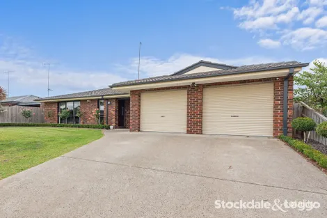 Property photo of 15 Hillcrest Court Traralgon VIC 3844