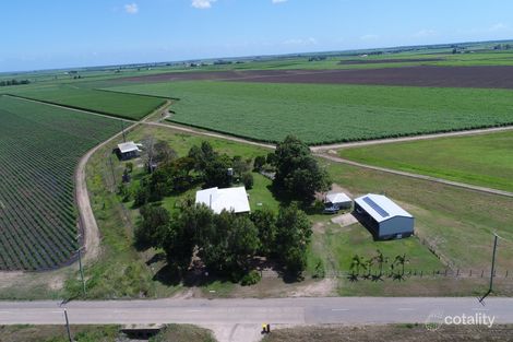 Property photo of 493 Kilrie Road Jarvisfield QLD 4807