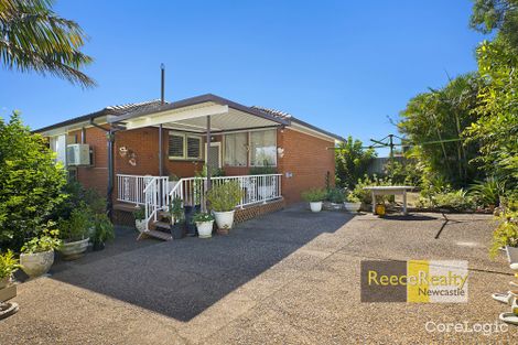 Property photo of 49 Acacia Avenue Waratah West NSW 2298