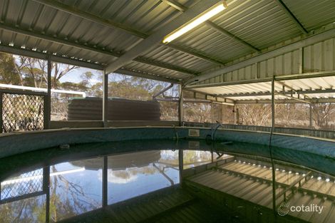 Property photo of 203 Border Road Bower SA 5374