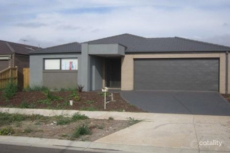 43 Springleaf Rd, Tarneit, VIC 3029