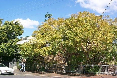 68 Latrobe Tce, Paddington, QLD 4064