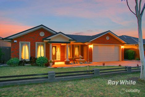 11 Hal Porter Tce, Lynbrook, VIC 3975