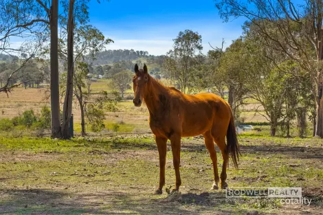 Property photo of 160-168 Veresdale Scrub Road Gleneagle QLD 4285