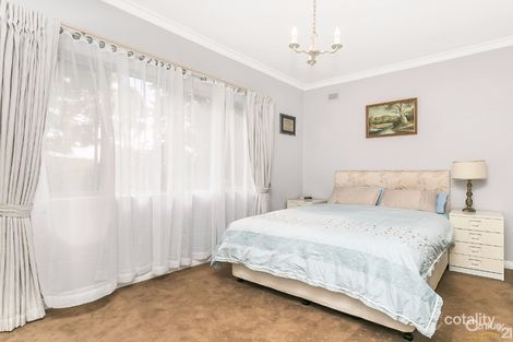 Property photo of 16 Pine Avenue Warradale SA 5046