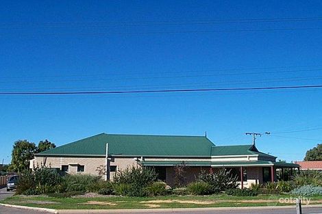 31 Hosken St, Bluff Point, WA 6530