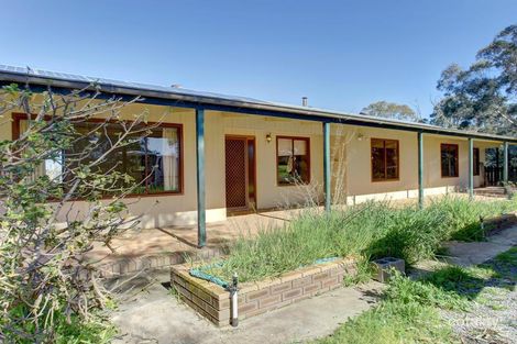 Property photo of 679 Flinders Highway Hawson SA 5607